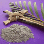 Das cinzas à consciência: a Quaresma como chamado à conversão pessoal e social