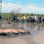 Ataques na Nigéria, que deixaram 175 mortos, são condenados pelo Papa