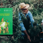 Dicastérios lançam documento sobre ecologia integral na vida da família
